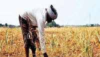 महाराष्ट्रावर मोठं संकट; राज्यातील 40 तालुक्यात दुष्काळ जाहीर 