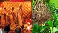 ऐश्वर्याने खरंच झाडाशी केलेलं पहिलं लग्न? जेव्हा बिग बींना विचारण्यात आला प्रश्न...