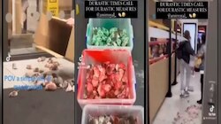पॅलेस्टाइन समर्थकाने McDonald मधे सोडले शेकडो उंदीर अन् नंतर...; VIDEO व्हायरल