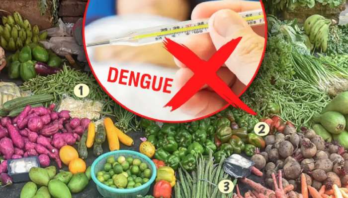 &#039;या&#039; 5 भाज्या नियमित खा डेंग्यू जवळपासही येणार नाही; यादी एकदा पाहाच