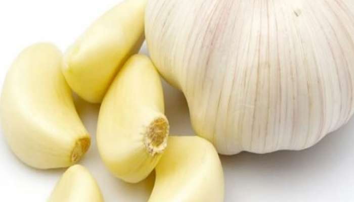 Top 5 Benefits Of Eating Garlic In Winter in marathi 