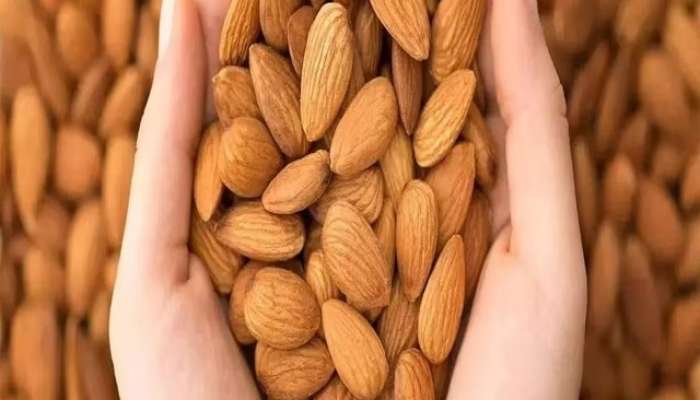 How to Identify Fake Almonds During Diwali Festival 