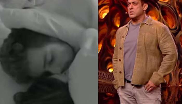 'हा तुझा फॅमिली शो?' 20 वर्षांच्या अभिनेत्रीचा इंटिमेट व्हिडीओ पाहताच सलमानवर भडकले नेटकरी
