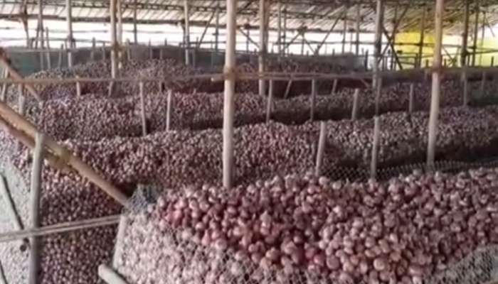 दुष्काळात 13वा महिना! विक्रीसाठे ठेवलेले साडेपाच लाखांचे कांदे चोरट्यांनी लांबवले