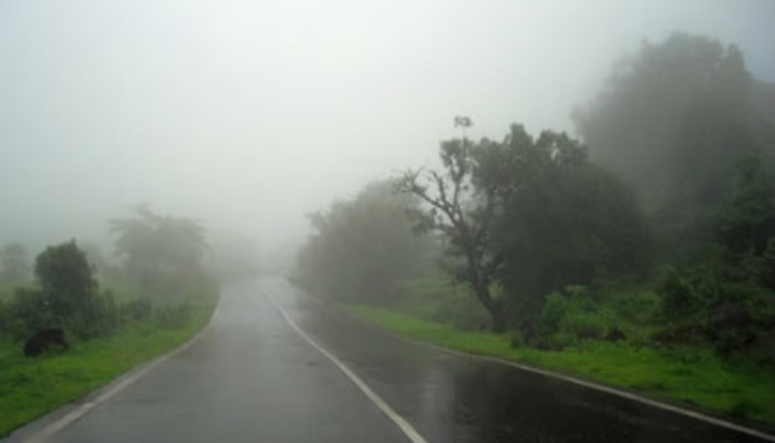 Weather Update : कोकणात बरसणार पाऊसधारा, राज्याच्या 'या' भागात मात्र हुडहूडी 