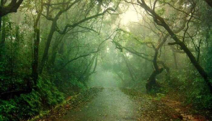 Weather Update : मान्सूनमागोमाग थंडीही देतेय चकवा; राज्याच्या &#039;या&#039; भागात ऐन हिवाळ्यात पावसाचा इशारा 