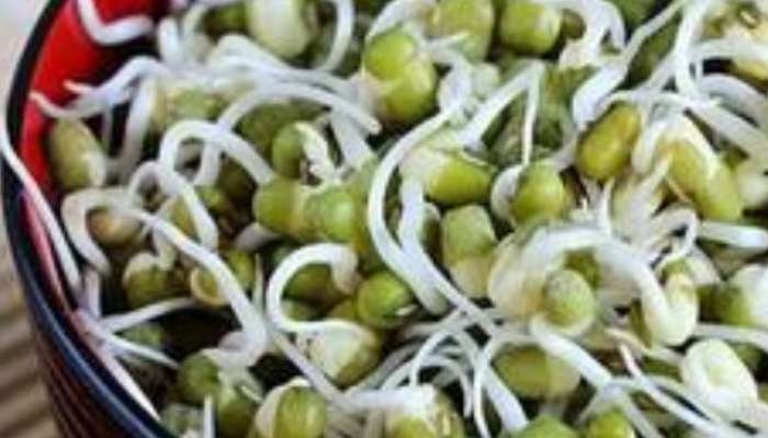 health tips Sprouted moong health benefits in marathi 