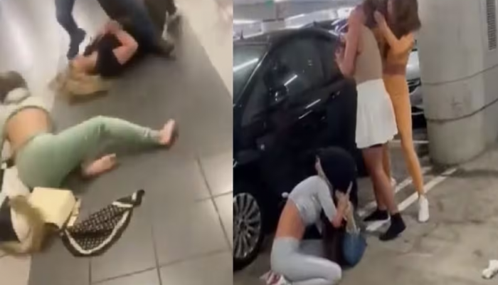 Viral Video : झिंज्या उपटल्या, लाथा बुक्यांनी मारलं! कार पार्किंगमध्ये 6 तरुणींचा हाय व्होल्टेज ड्रामा WWE ला देईल टक्कर