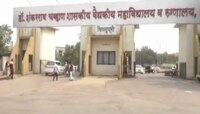 डुकरानं तोडले लचके तोडल्याने रुग्णाचा मृत्यू; नांदेड रूग्णालयातील धक्कादायक प्रकार