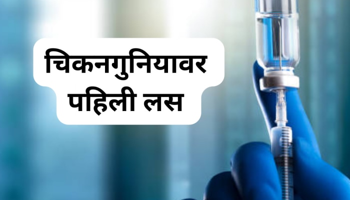 Chikungunya Vaccine जगाला मिळाली पहिली व्हॅक्सीन, अमेरिकेच्या FDA कडून मंजुरी 