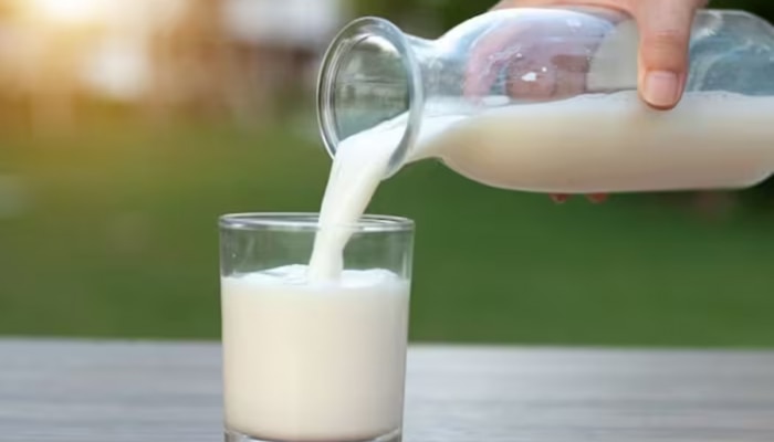 Rules Of Drinking Milk : दुधात मीठ टाकल्यावर काय होते? दूध घेणाऱ्या प्रत्येकाला &#039;या&#039; गोष्टी माहितीच पाहिजे अन्यथा...