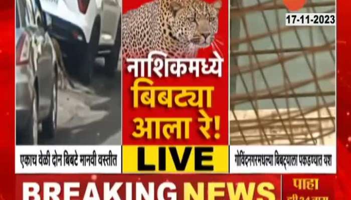 Nashik Both Leopards Trapped From Different Locations