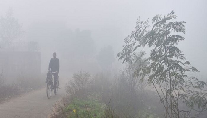 Weather Update : राज्याच्या &#039;या&#039; भागांत थंडी वाढणार, पाऊस परतीचा मुहूर्त कधी काढणार? पाहा हवामान वृत्त 