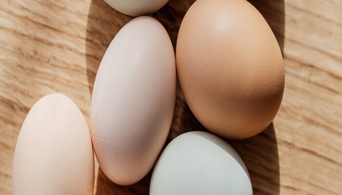 Egg Side Effects : तुम्ही रोज अंडी खाता? 'हे' आजार असल्यास तुमच्यासाठी घातक 