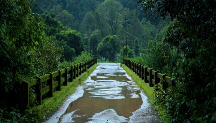 Weather Update : राज्याच्या &#039;या&#039; भागांना पुढील 48 तासांसाठी पावसाचा इशारा; वादळी वारेही घोंगावणार 