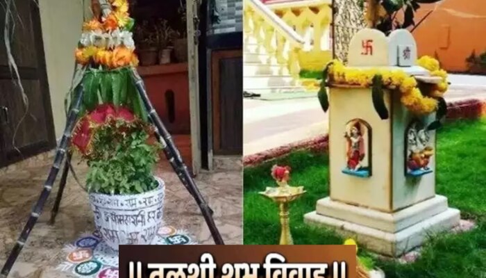 Tulsi Vivah VIDEO : घरच्या घरी तुळशी विवाह कसा करावा?  संपूर्ण पूजाविधी मंत्रांसह मंगलाष्टक