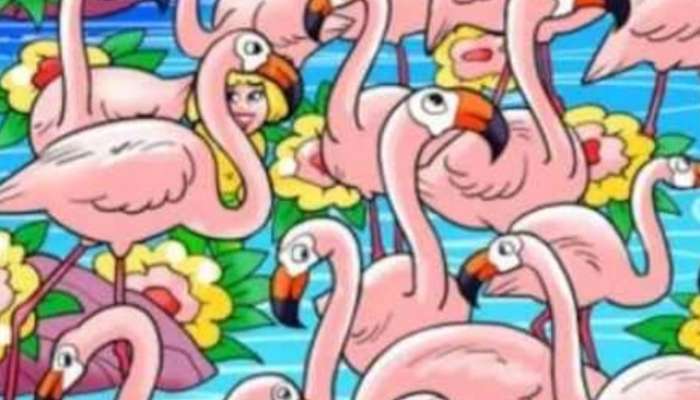 Optical Illusion Genius People will be find the girl hidden among thsese flemingo Birds 