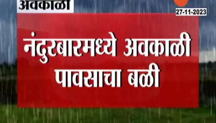 Maharashtra Rain  Nandurbar Girl Passed Away From Lightning Strikes In Unseasonal rain 