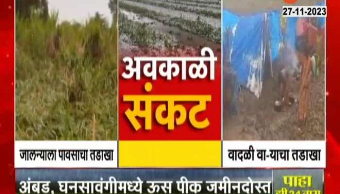 Jalna Loss due to sudden rain watch what farmers says