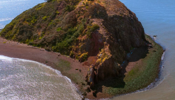 red rock island, red rock island San Francisco, red rock island mckinsey, red rock island flag, red rock island photos, red rock island map, where is red rock island, World news, news, news in marathi, रेड रॉक आयलंड, सॅन फ्रान्सिस्को 