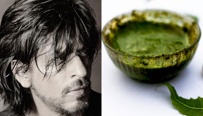 Shah Rukh Khan ने सांगितलं सिल्की आणि दाट केसांमागचं गुपित, किचनमधील 3 पदार्थ न चुकता वापरतो