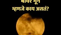 Beaver Moon : आकाशात दिसणार बीवर मून, नेमकं प्रकरण काय?