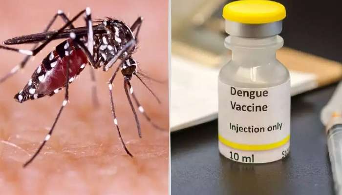 डेंग्यूची लस लवकरच बाजारात; 10 हजारांहून अधिक लोकांवर लसीची चाचणी