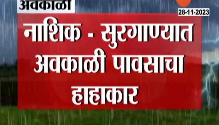 Nashik Surgana Rice Crop Damage From Unseasonal Rainfall