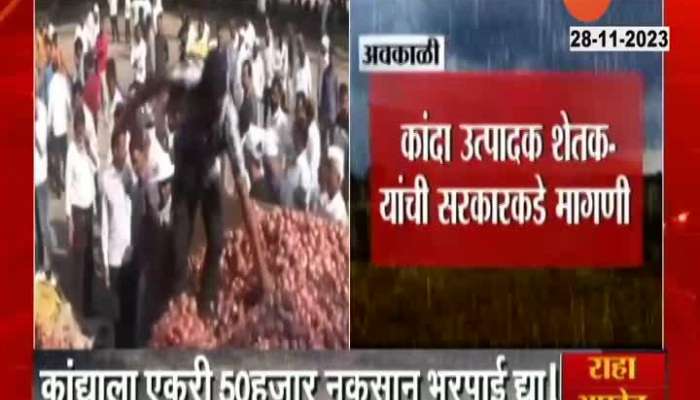 Farmer Demand Help For Onion Crop Damage From Unseasonal Rain