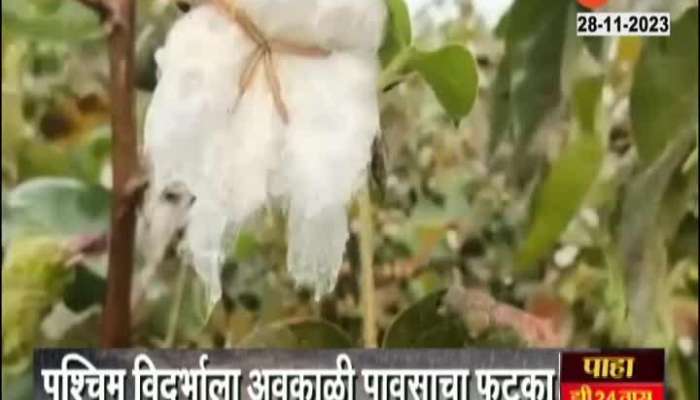 Western Vidarbha Crop Loss