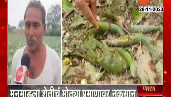 Manmad Farmer Reaction On Onion And Vegetable Crops Damage