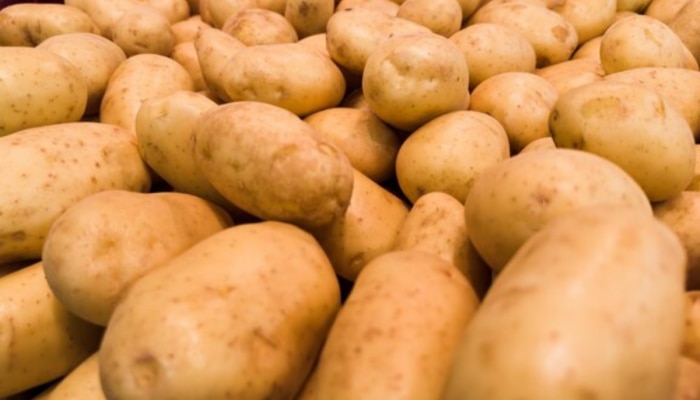 बटाट्यामुळे संपलं अख्खं कुटुंब, &#039;ही&#039; चूक तुम्ही तर करत नाहीत ना?