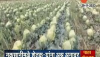 Super Fast News: अवकाळीचा तडाखा! नुकसानीमुळे शेतकऱ्यांना अश्रू अनावर