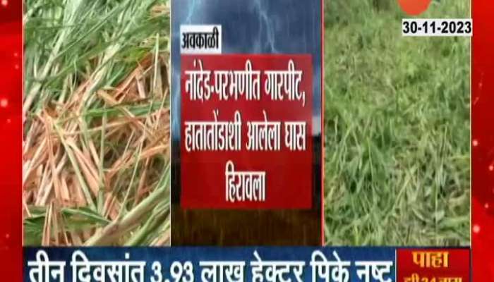 Farmers in 22 districts destroyed! Unseasonal rains wreak havoc in the state