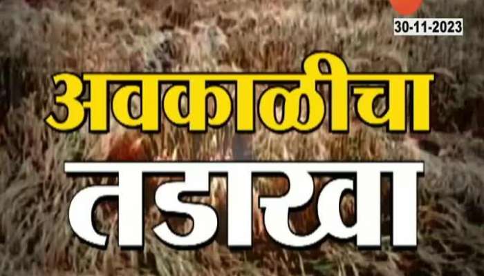 Millions of hectares of crops were destroyed in Maharashtra due to unseasonal rains