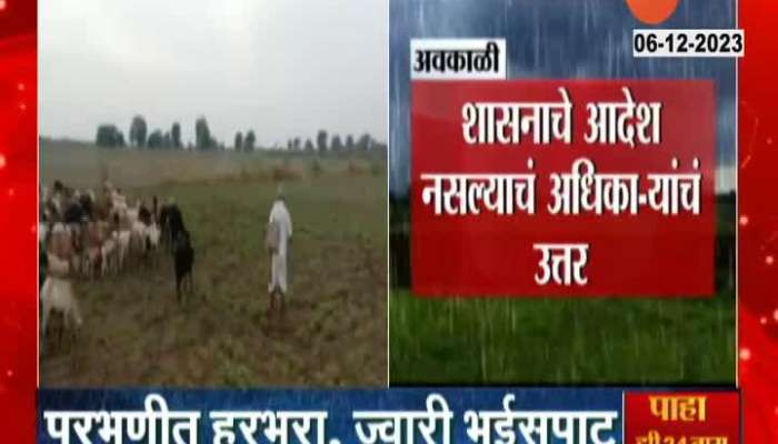 Parbhani Farmers In Problem As Kharif Crops Damage From Unseasonal Rain