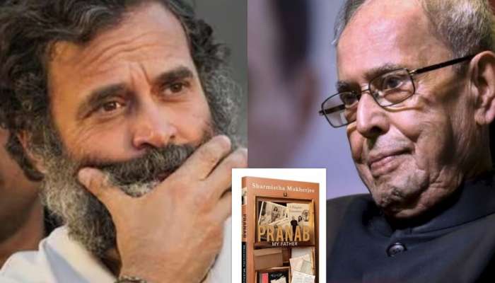 'बाबा राहुल गांधींवर फार नाराज होते,' प्रणव मुखर्जींच्या मुलीचा मोठा खुलासा; म्हणाल्या 'अपरिपक्व...'
