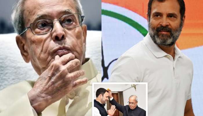 '....इतकं समजत नसेल तर पंतप्रधान कसे होणार?,' राहुल गांधी भेटीनंतर मुलीला म्हणाले होते प्रणव मुखर्जी, 'यांना साधं AM, PM...'