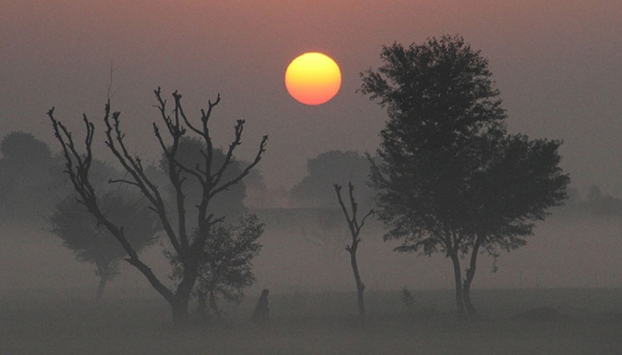 ढगांचं सावट, धुक्याची चादर आणि झोंबणारा गारवा; राज्याच्या कोणत्या भागात असेल हवामानाचं हे चित्र? 