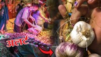 चीन भारतीयांना खाऊ घालतोय विषारी लसूण! तुमच्या घरात 'चिनी लसूण' तर नाही ना?