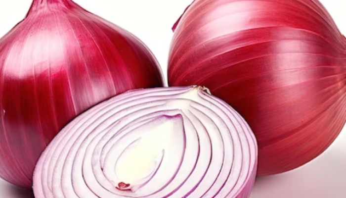 onion, onion export, onion export ban, onion price, eating raw onion benefits and side effetcts , is raw onion good for health, what happens if we eat raw onion daily, eating raw onion side effetcts, कांदा, कांदा प्रश्न, कांदा खाण्याचे फायदे, कच्चा कांदा खाण्याचे दुष्परिणाम, मराठी बातम्या, health news, 