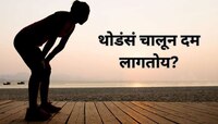 थोडसं चाललं तरी दम लागतो? 'या' तीन डाळींच्या सेवनाने थकवा दूर पळेल