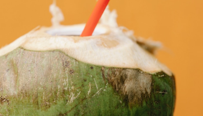 coconut water, coconut water benefits, coconut water use, how to consume coconut water, best way to consume coconut water, नारळ पाणी, नारळ पाणी पिण्याचे फायदे, हेल्थ न्यूज