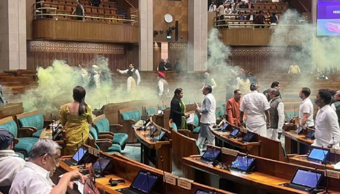 Loksabha Security Breach : संसदेत सर्वसामान्यांना कसा मिळतो प्रवेश? इथूनच 'ते' दोघं आत शिरले 
