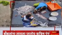VIDEO | तुमच्या ताटात नकली बोंबील? बोंबील ताजे दिसायला लावला जातोय रंग, धक्कदायक व्हिडीओ