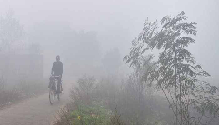 Weather update : &#039;या&#039; भागात पावसाचा रेड अलर्ट, विदर्भात मात्र कडाक्याच्या थंडीचा इशारा 