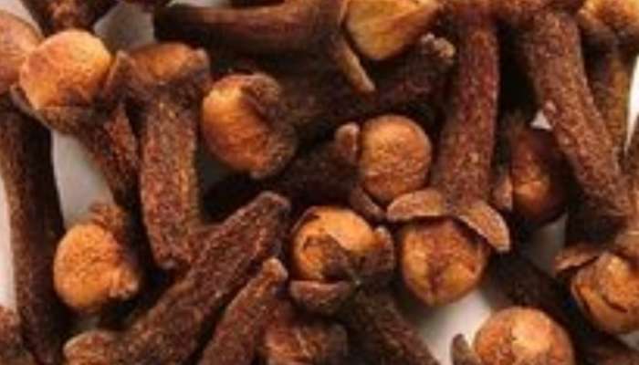 Benefits of chewing cloves Health Tips Marathi News
