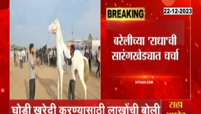 Nandurbar Sarangkheda Horse Trading Radha Horse Worth One Crore