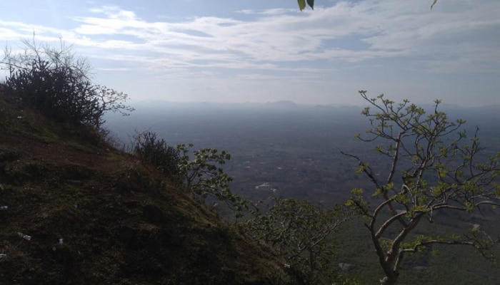 Weather Updates : उत्तर भारतातील शीतलहरींनी देश गारठला, राज्यातही पारा 11 अंशांवर; मुंबई मात्र अपवाद 