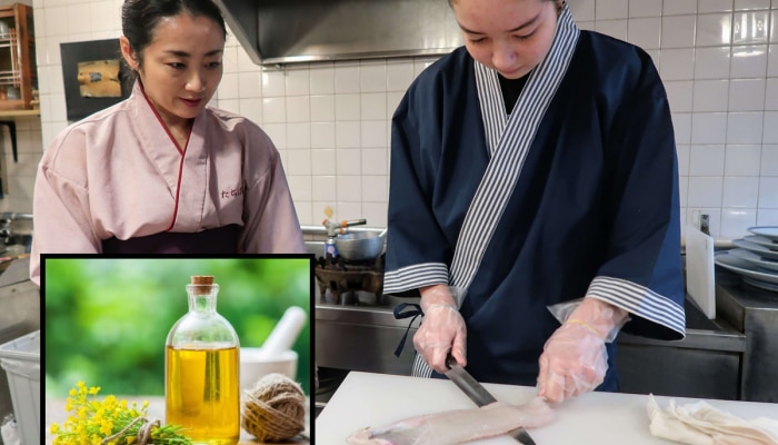 जपानी लोक स्वयंपाकासाठी कोणतं तेल वापरतात? आरोग्यासाठी वरदान असलेले तेलाचे जाणून घ्या आश्चर्यकारक फायदे